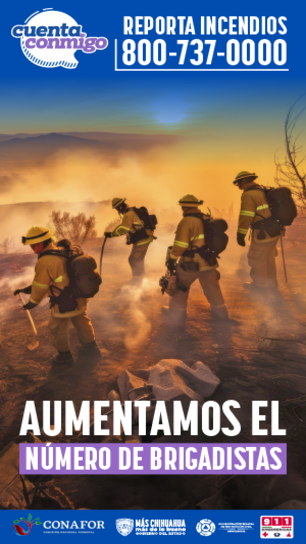 Brigadistas