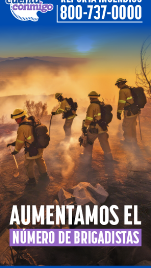 Brigadistas