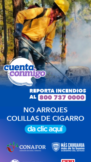Reporta incendios.