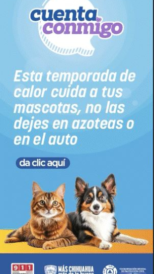 (300x600) Mascotas(12-06-2025).