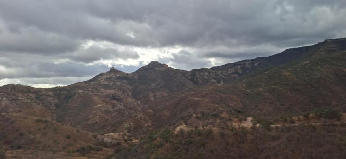 img-1818